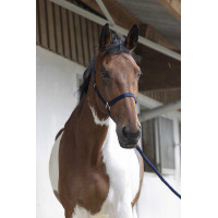 Conjunto de cabezada y ramal Club Fucsia Rosa