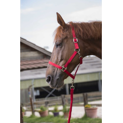 Conjunto de cabezada y ramal Club Roja Rojo