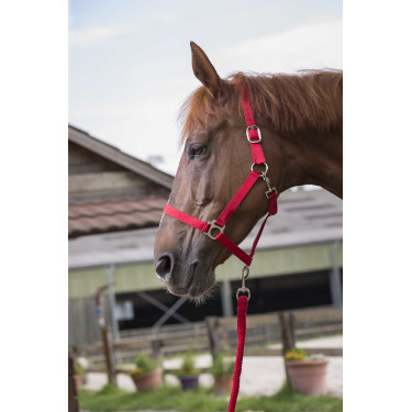 Conjunto de cabezada y ramal Club Roja Rojo Conjunto de cabezada y ramal Club Roja Rojo