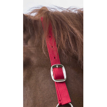 Conjunto de cabezada y ramal Club Roja Rojo Conjunto de cabezada y ramal Club Roja Rojo