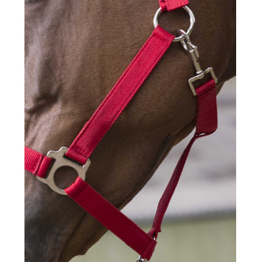 Conjunto de cabezada y ramal Club Roja Rojo Conjunto de cabezada y ramal Club Roja Rojo