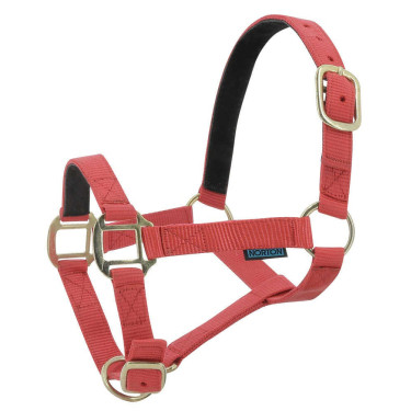 Cabezada de nylon forrada de cuero Roja Rojo