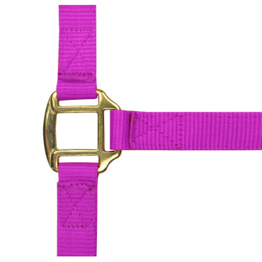 Cabezada de nylon forrada de cuero Fucsia Rosa