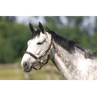 Cabezada Excelsior con doble ajuste Negro