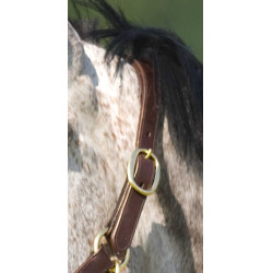 Cabezada Excelsior con doble ajuste Havana Marrón Cabezada Excelsior con doble ajuste Havana Marrón