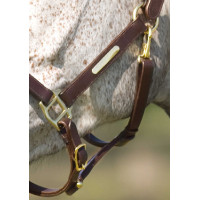 Cabezada Excelsior con doble ajuste Negro