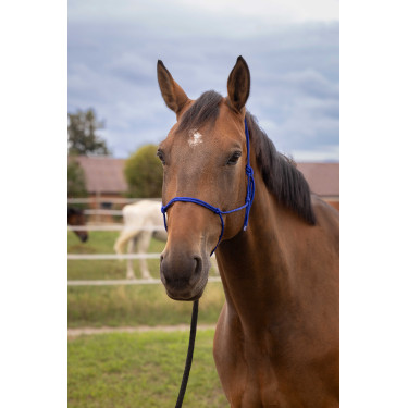 Cabezada de doma natural suave Azul real Cabezada de doma natural suave Azul real