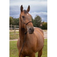 Cabezada de doma natural suave Negro