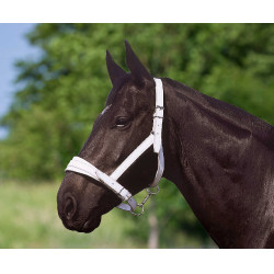 Cabezada Apollo de cuero cromado Cabezada Apollo de cuero cromado