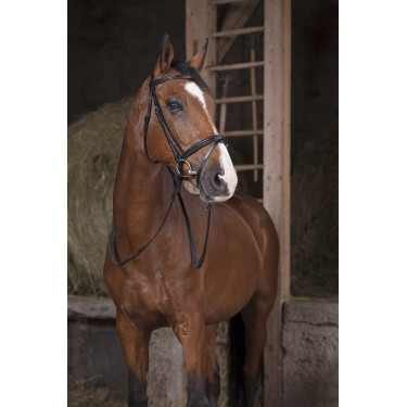 Riendas de goma Norton Pro Negro