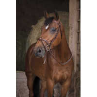 Riendas de goma Norton Pro Negro