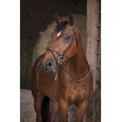 Riendas de goma Norton Pro Havana Marrón