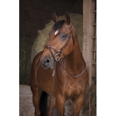 Riendas de goma Norton Pro Havana Marrón