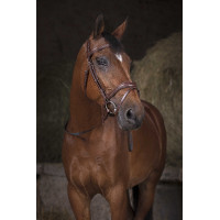 Riendas tejidas Norton Pro Negro / blanco