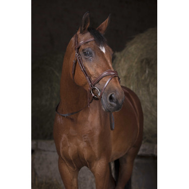 Riendas tejidas Norton Pro Habana / blanco Marrón