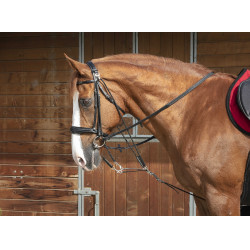 Gogue con polea Norton Pro Negro