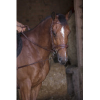 Pechopetral corto elástico / Poleas Norton Pro Havana Marrón Pechopetral corto elástico / Poleas Norton Pro Havana Marrón