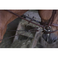 Pechopetral corto elástico / Poleas Norton Pro Havana Marrón Pechopetral corto elástico / Poleas Norton Pro Havana Marrón