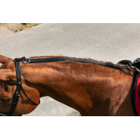 Chambón Norton Pulley Negro