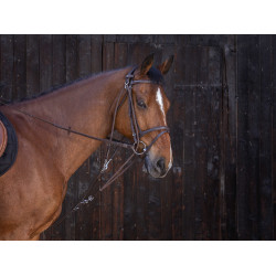 Gogue con poleas Riding World Havana Marrón