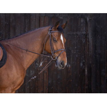 Gogue con poleas Riding World Havana Marrón