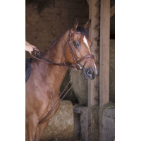 Riendas alemanas de cuero / cuerda Norton Pro Havana Marrón