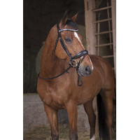 Norton Pro gripteugels Habano / marrón