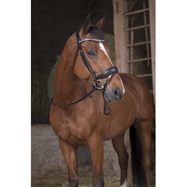 Norton Pro gripteugels Negro / negro