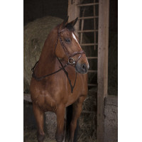 Riendas de goma con asas Norton Pro Havana Marrón