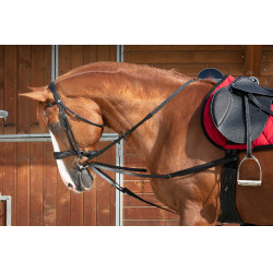 Riendas vienesas Norton Club