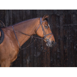 Gamarra con anillas Riding World