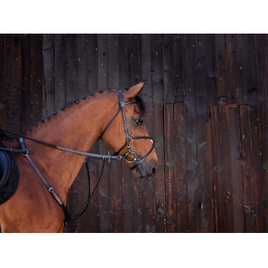 Gamarra con anillas Riding World Negro