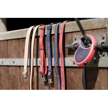 Correa de nailon Diego & Louna para perros Antracita Gris Correa de nailon Diego & Louna para perros Antracita Gris