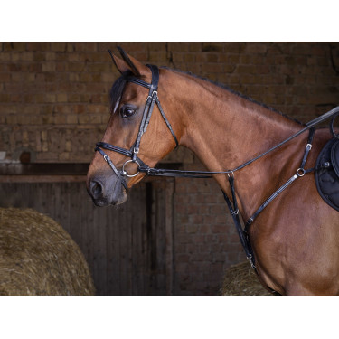 Pechopetral Eric Thomas Hybrid Negro