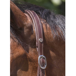 Cabezada de cuero Norton Pro Grooming Havana Marr&amp;amp;amp;oacute;n