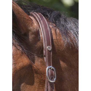 Cabezada de cuero Norton Pro Grooming Havana Marr&amp;amp;amp;oacute;n