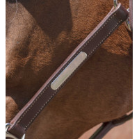 Cabezada de cuero Norton Pro Grooming Negro