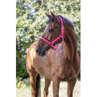 Cabezada forrada Norton Fluo Azul