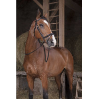 Riendas Hunter Norton Pro 16 mm Negro