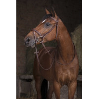 Riendas Hunter Norton Pro 16 mm Havana Marrón