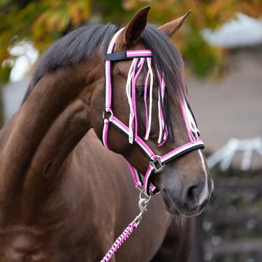 Juego de collar de cabeza de nailon Imperial Riding, cordón de sujeción y frontalera antimoscas Rosa