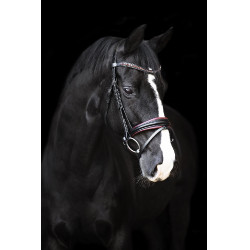 Brida Imperial Riding Fria Borgoña Burdeos