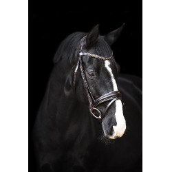 Brida Imperial Riding Fria Castaño Marr&amp;amp;amp;oacute;n