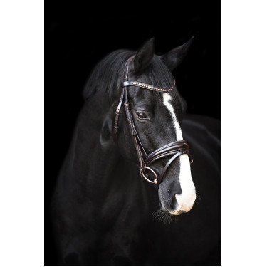 Brida Imperial Riding Fria Castaño Marr&amp;amp;amp;oacute;n