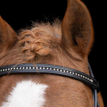 Brida shetland Imperial Riding Stormy Negro / cristal