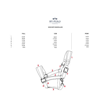 Cabezada HV Polo Nena