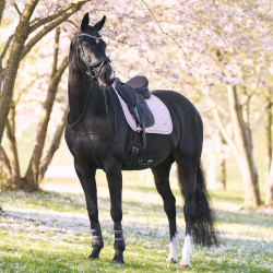 Silla de montar Imperial Riding Lenny DR Cuarzo Rosa