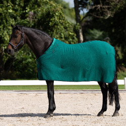 Manta polar HV Polo Nena Verde pato