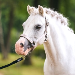 Cabezada Imperial Riding Rebel Gris / arena