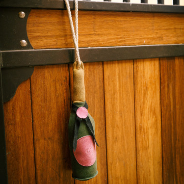 Juguete de box para establo Imperial Riding Champagne Bosque profundo Verde